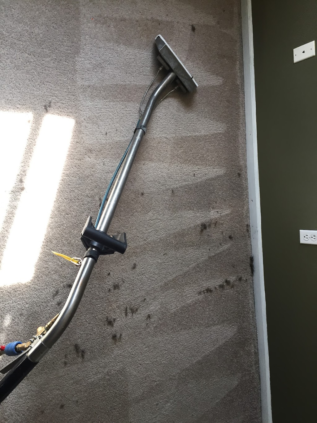 Piasecki Carpet and Upholstery Cleaning | Carter Rd, Carleton, MI 48117, USA | Phone: (313) 220-5538