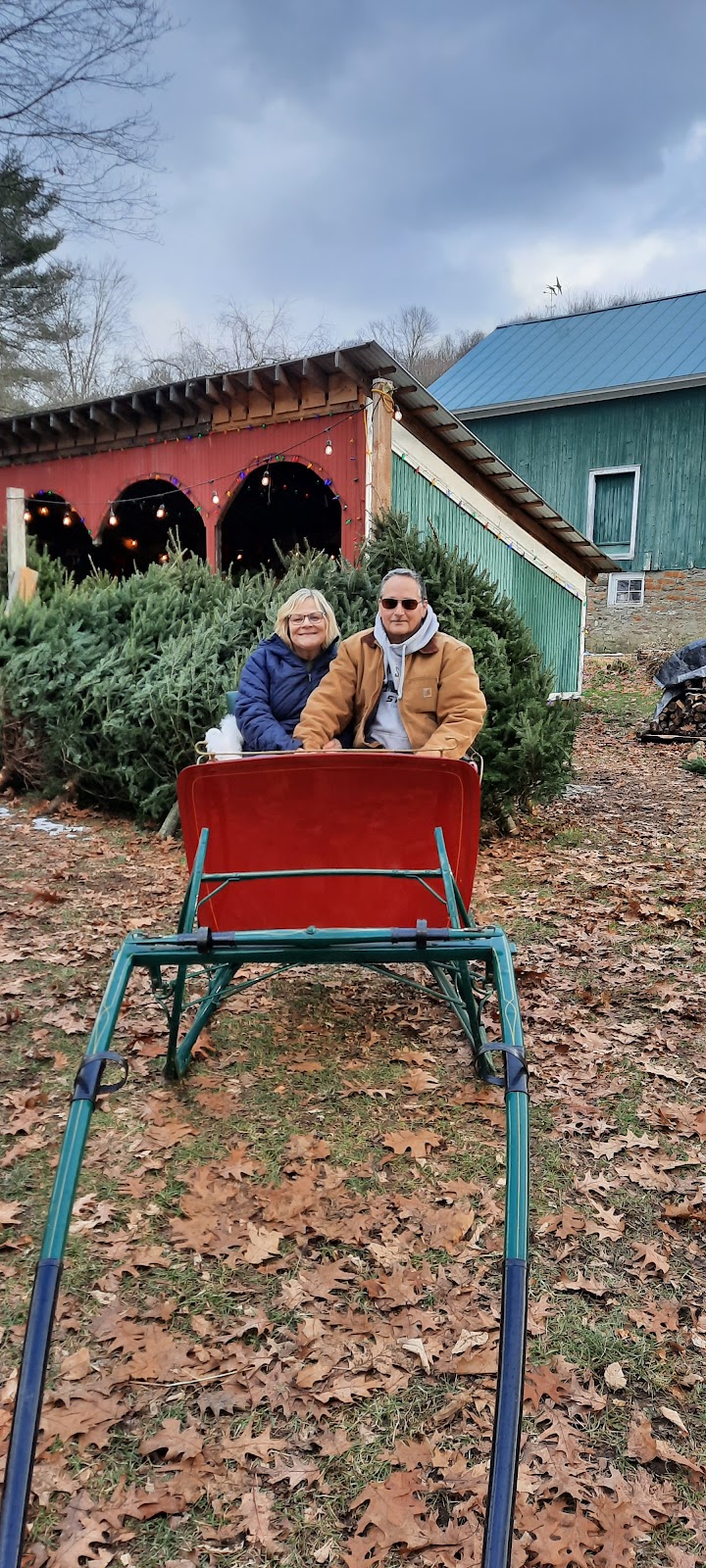 Kringle Christmas Tree Farm | 9298 NY-46, Westernville, NY 13486, USA | Phone: (315) 827-4534