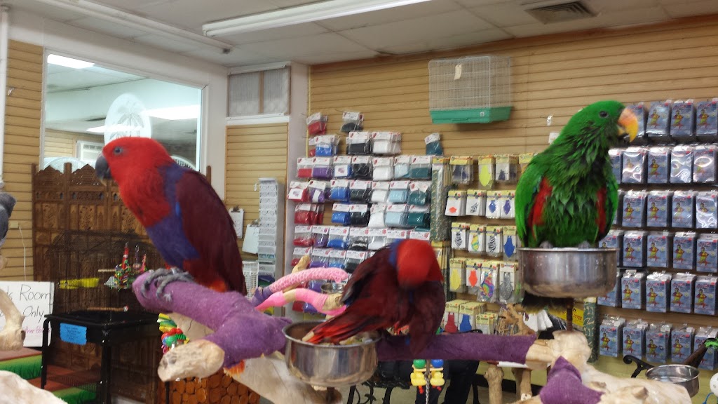 My Bird Store | 551 US-130, Burlington, NJ 08016, USA | Phone: (800) 650-7387