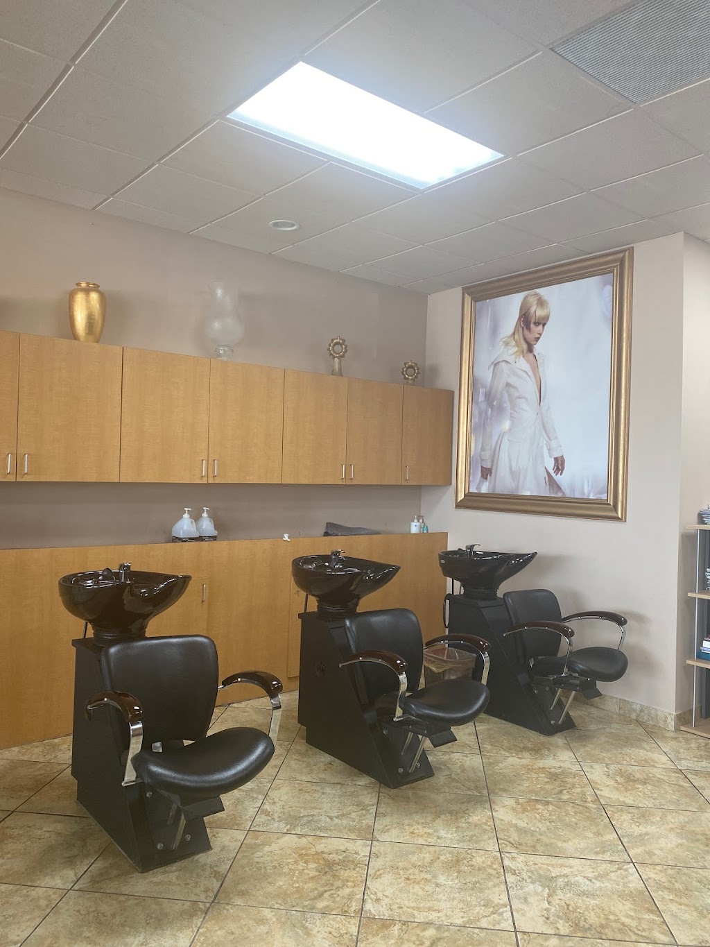 Hollys Beauty Salon Hair and Spa | 42897 Dequindre Rd, Troy, MI 48085, USA | Phone: (248) 250-9181