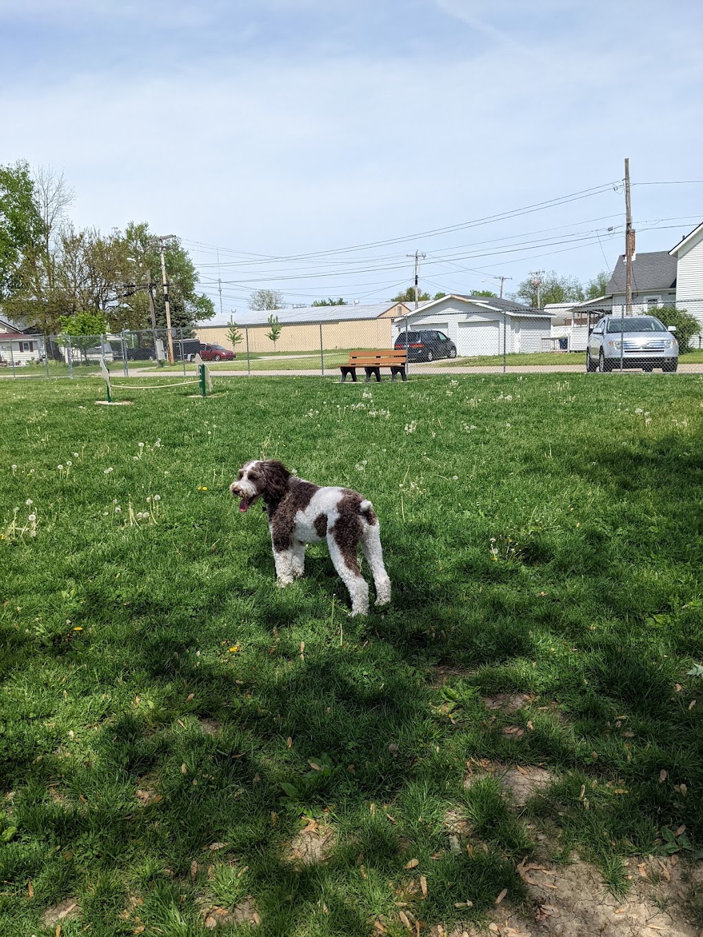 Bluffton K-9 Kommons Dog Park | Bluffton, IN 46714, USA | Phone: (260) 824-6069