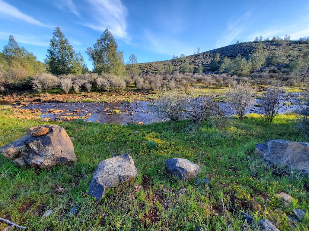 Red Hills Recreation Management Area | Red Hill Rd, Jamestown, CA 95327, USA | Phone: (916) 941-3101