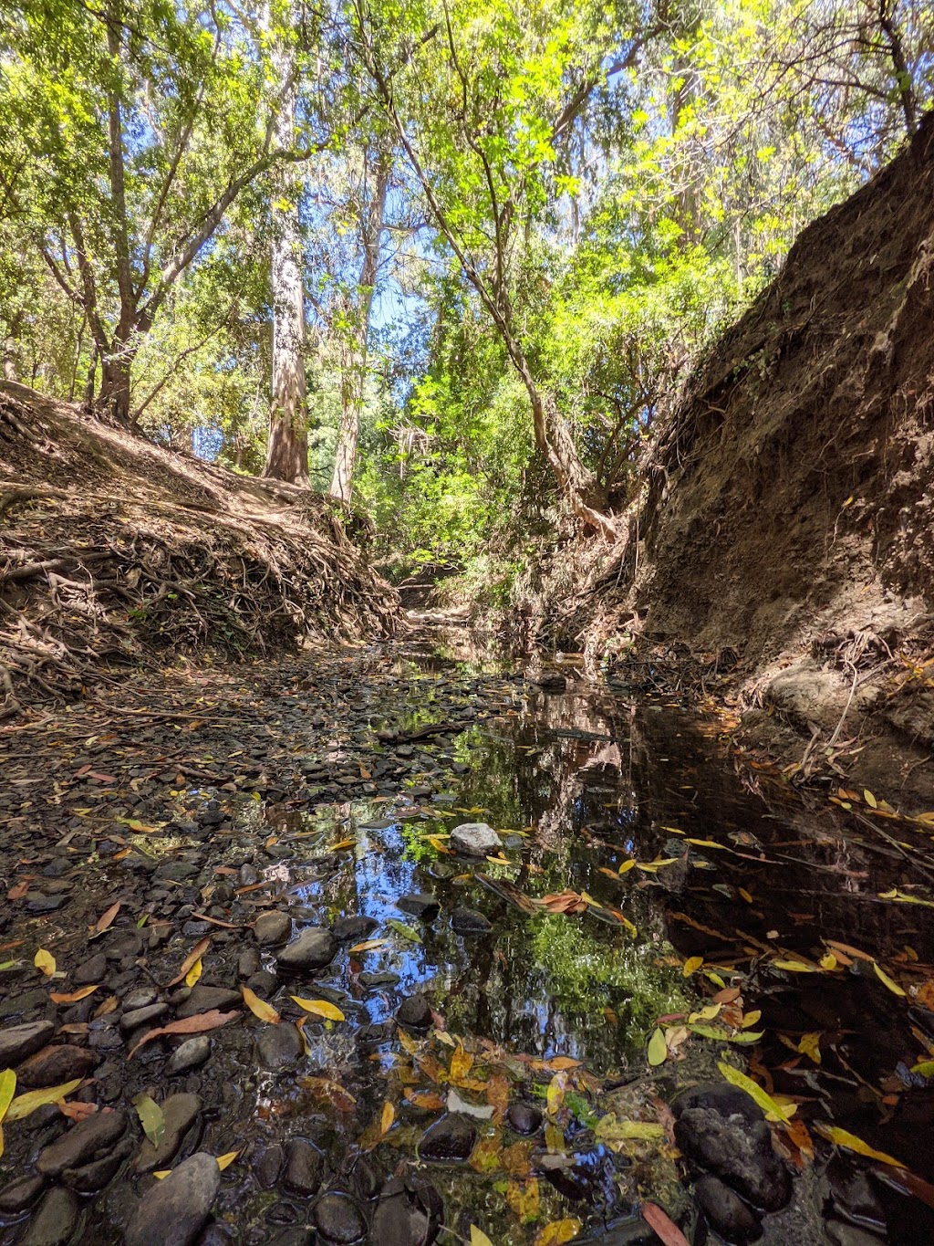 Twin Pines Park | 1 Twin Pines Ln, Belmont, CA 94002, USA | Phone: (650) 595-7441