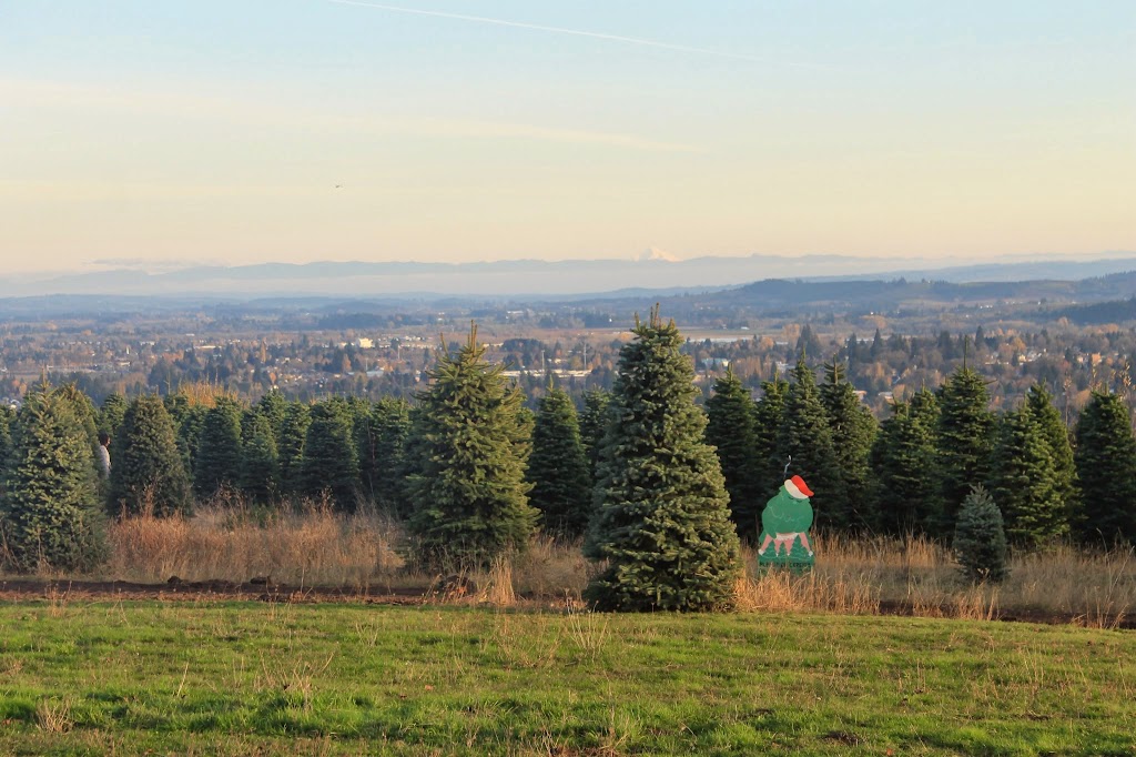 Christmas Trees West, LLC | 45619 NW David Hill Rd, Forest Grove, OR 97116, USA | Phone: (503) 939-5511