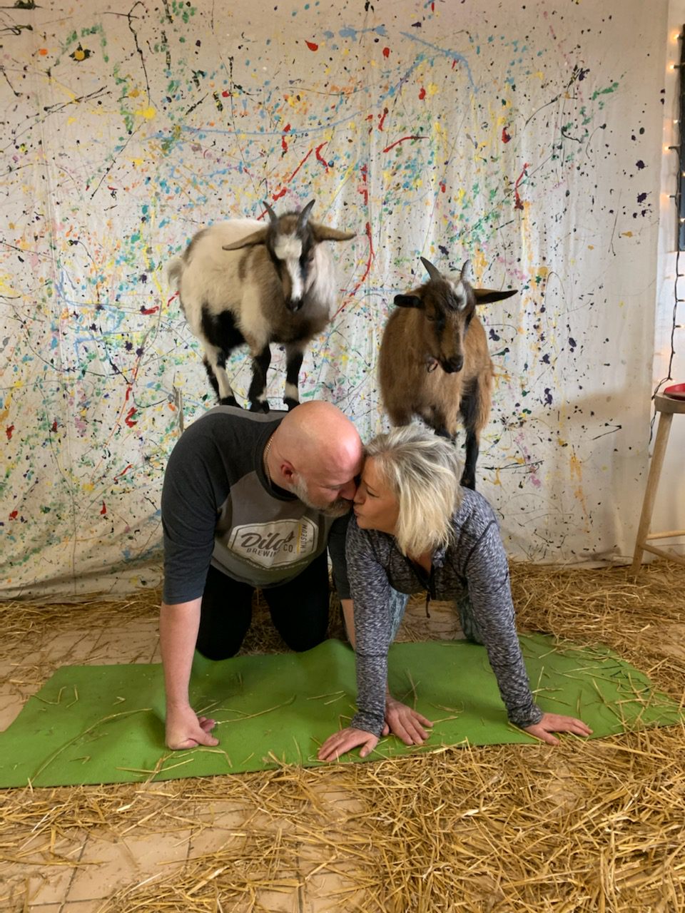 Fox Den Goat Yoga | 1067 Niagara Stone Rd, Niagara-on-the-Lake, ON L0S 1J0, Canada | Phone: (289) 407-4965