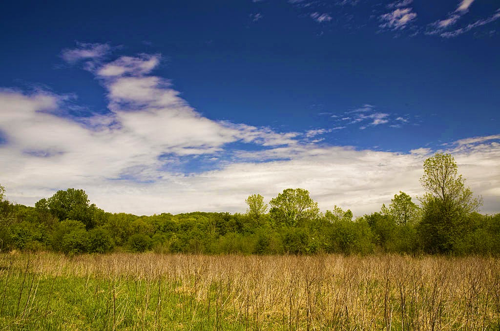 Seminary Fen Scientific and Natural Area (SNA) | Pioneer Trail, Chaska, MN 55318, USA | Phone: (651) 259-5800