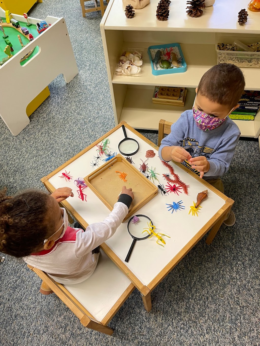 Uno Dos Tres Preschool | 1500 Scio Church Rd, Ann Arbor, MI 48103, USA | Phone: (734) 213-1123