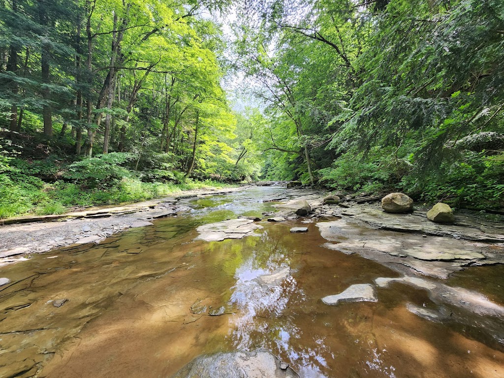 Chautauqua Gorge Campground | 8054 Hannum Rd, Mayville, NY 14757, USA | Phone: (716) 450-1585