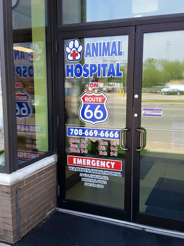 Animal Hospital On Route 66 | 6045 Ogden Ave, Cicero, IL 60804, USA | Phone: (708) 669-6666