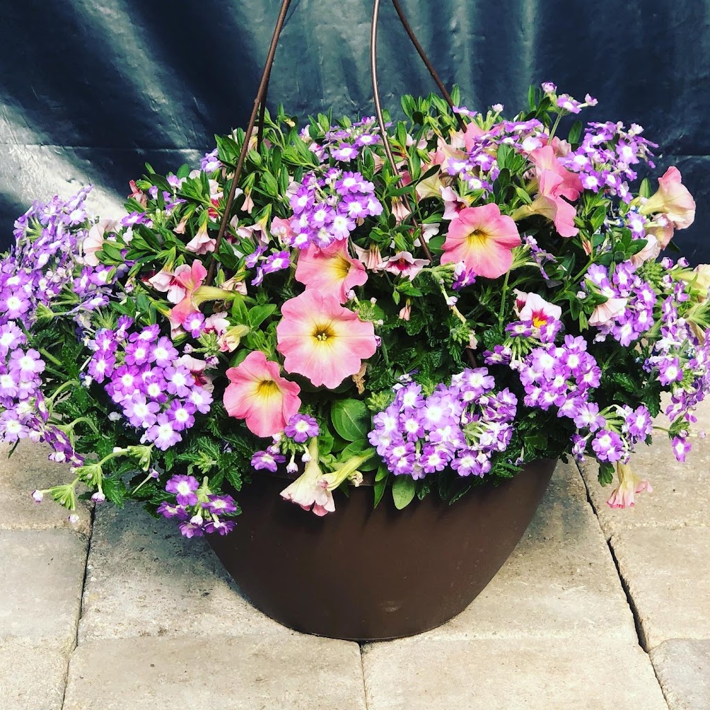 Beesons Nursery | 1300 Half Day Rd, Deerfield, IL 60015, USA | Phone: (847) 945-0520