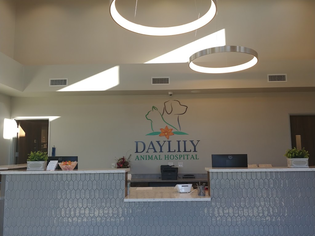 Daylily Animal Hospital | 1401 Chris Kelley Blvd, Hutto, TX 78634, USA | Phone: (512) 601-6121