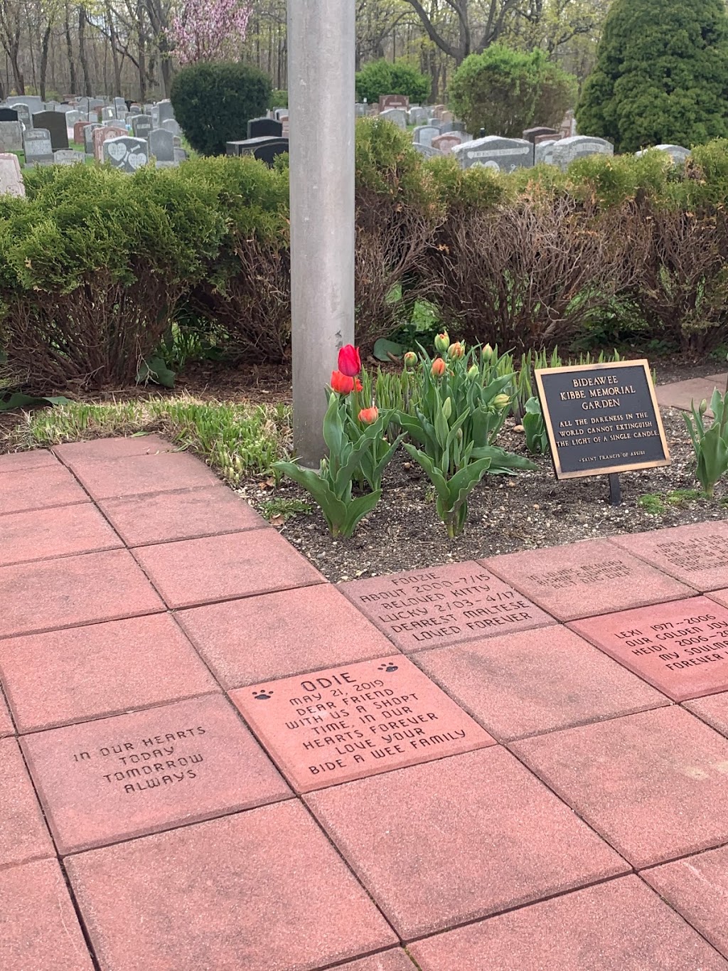 Bideawee Pet Memorial Park | 3300 Beltagh Ave, Wantagh, NY 11793, USA | Phone: (866) 262-8133