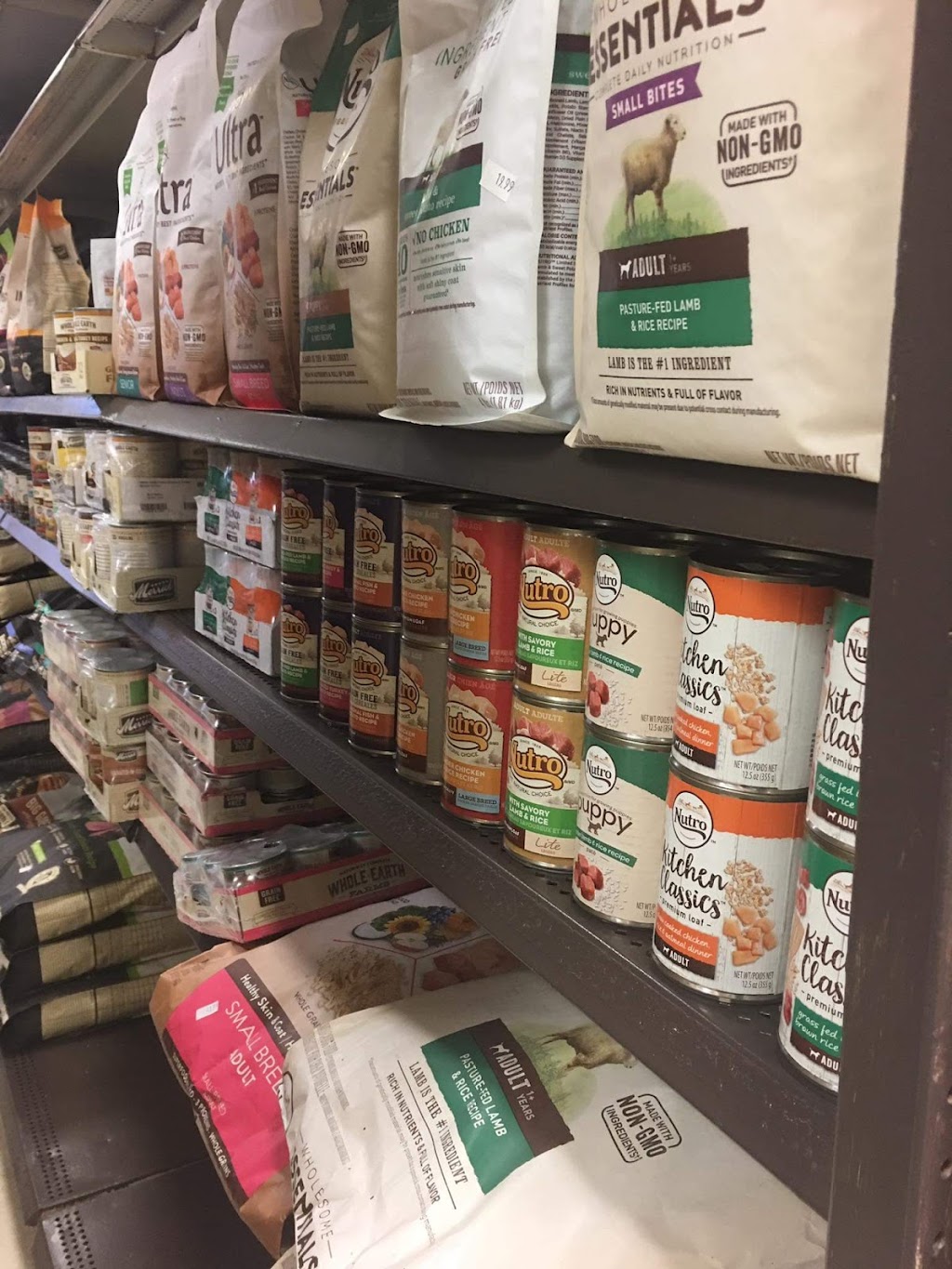 To The Rescue Pet Shoppe | 587 Midland Ave, Staten Island, NY 10306, USA | Phone: (718) 668-3647