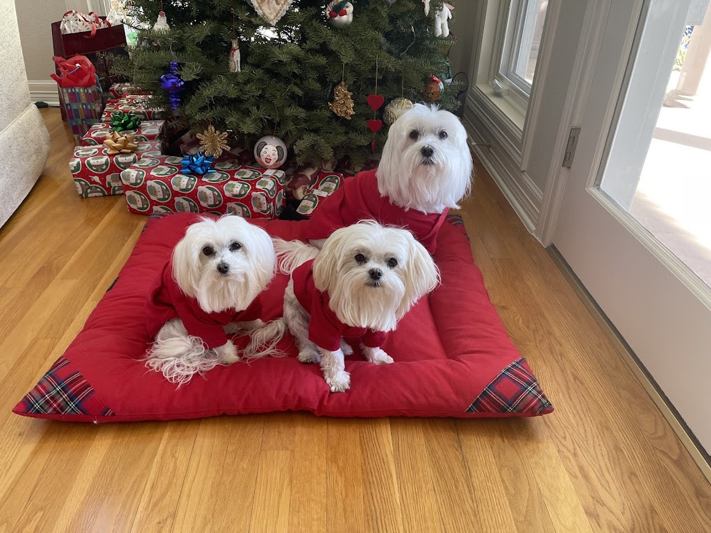 Kendall County Veterinary Center | 141 TX-46, Boerne, TX 78006, USA | Phone: (830) 336-2041