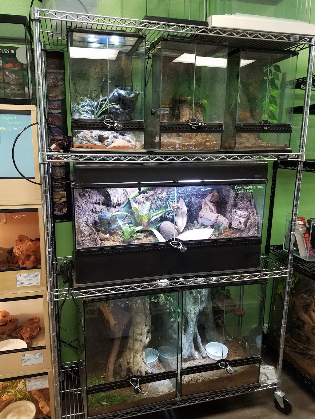 Angels exotic pets and supplies | 531 E Arrow Hwy #105, Glendora, CA 91740, USA | Phone: (626) 594-0674