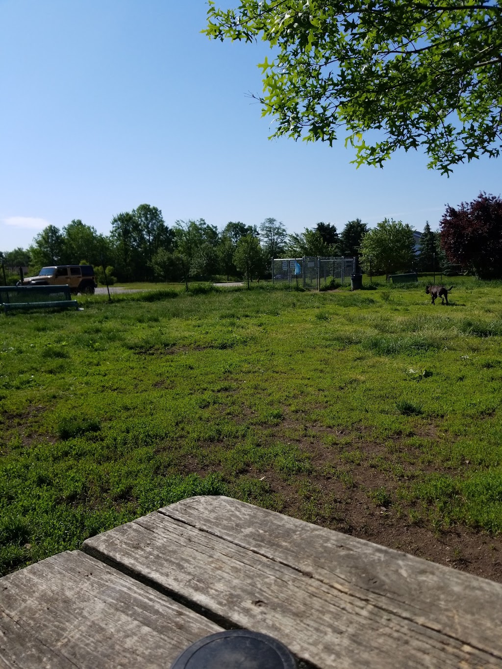 Brunswick Dog Park | Cross Creek Dr, Brunswick, OH 44212, USA | Phone: (330) 225-9144