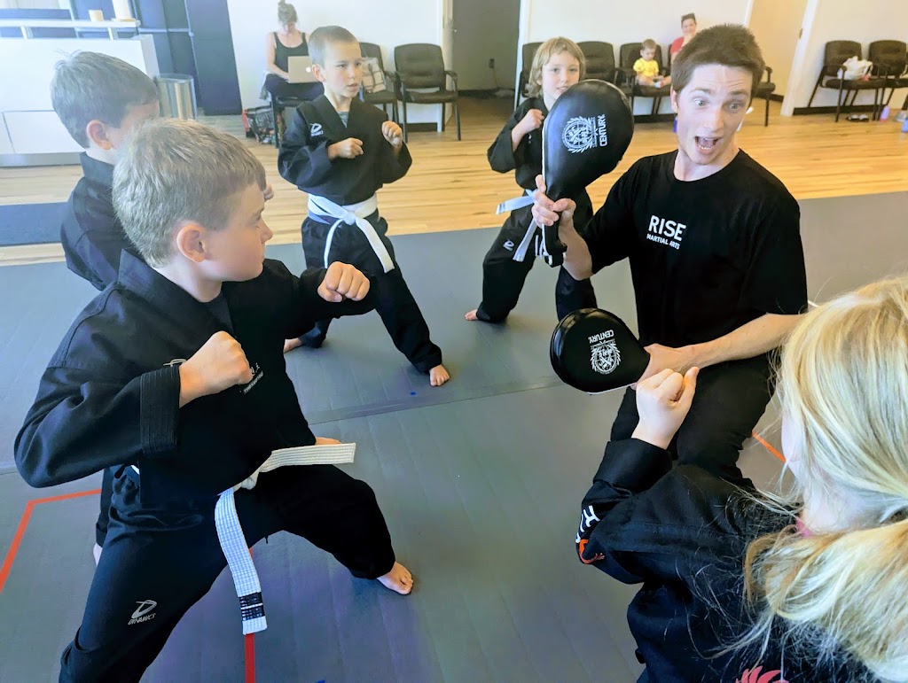 Rise Martial Arts - Dexter | 7069 Dexter Ann Arbor Rd, Dexter, MI 48130, USA | Phone: (734) 756-8899