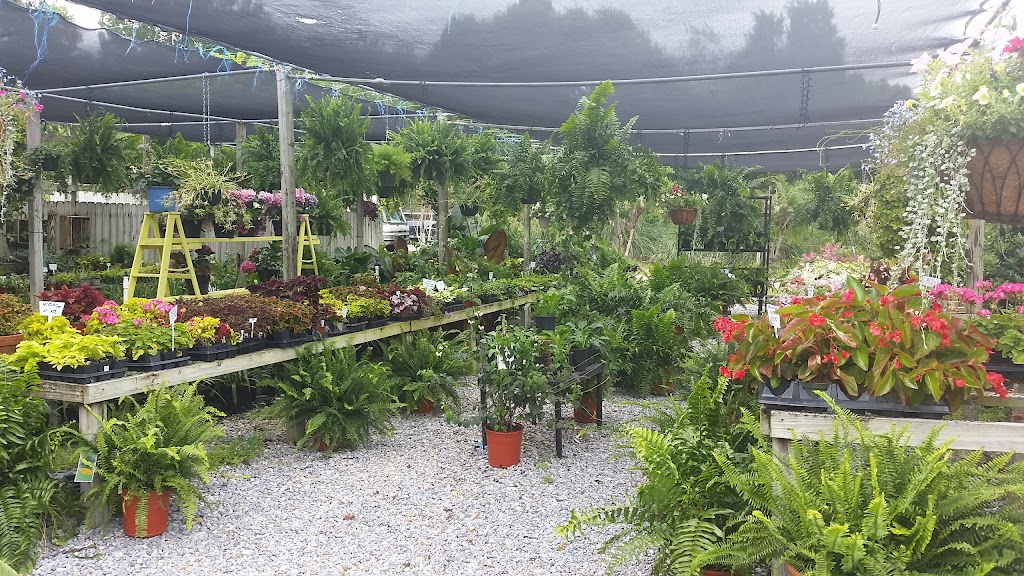 Ds Garden Center | 10320 Pecue Ln, Baton Rouge, LA 70810, USA | Phone: (225) 304-5417