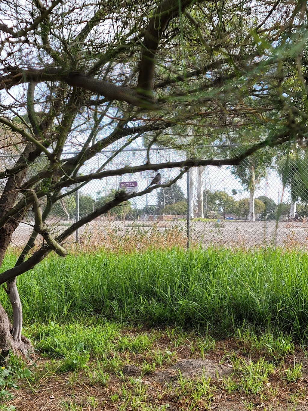 West San Gabriel River Parkway Nature Trail | 4626 Shadeway Rd, Lakewood, CA 90713, USA | Phone: (562) 866-9771