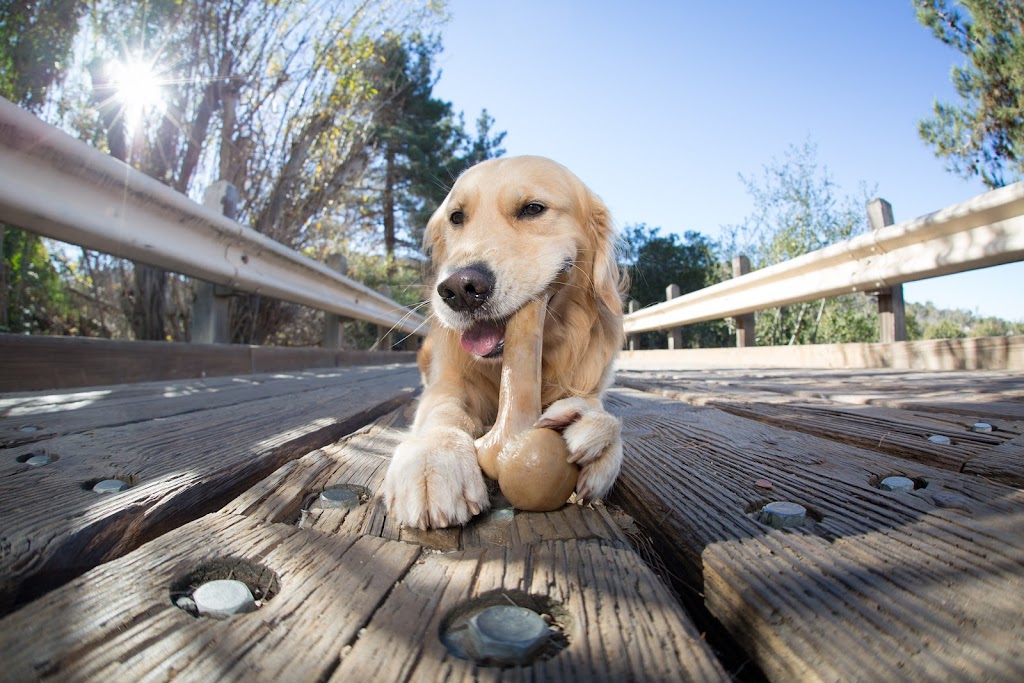 Pet Qwerks, Inc. | 9 Studebaker, Irvine, CA 92618, USA | Phone: (949) 916-3733