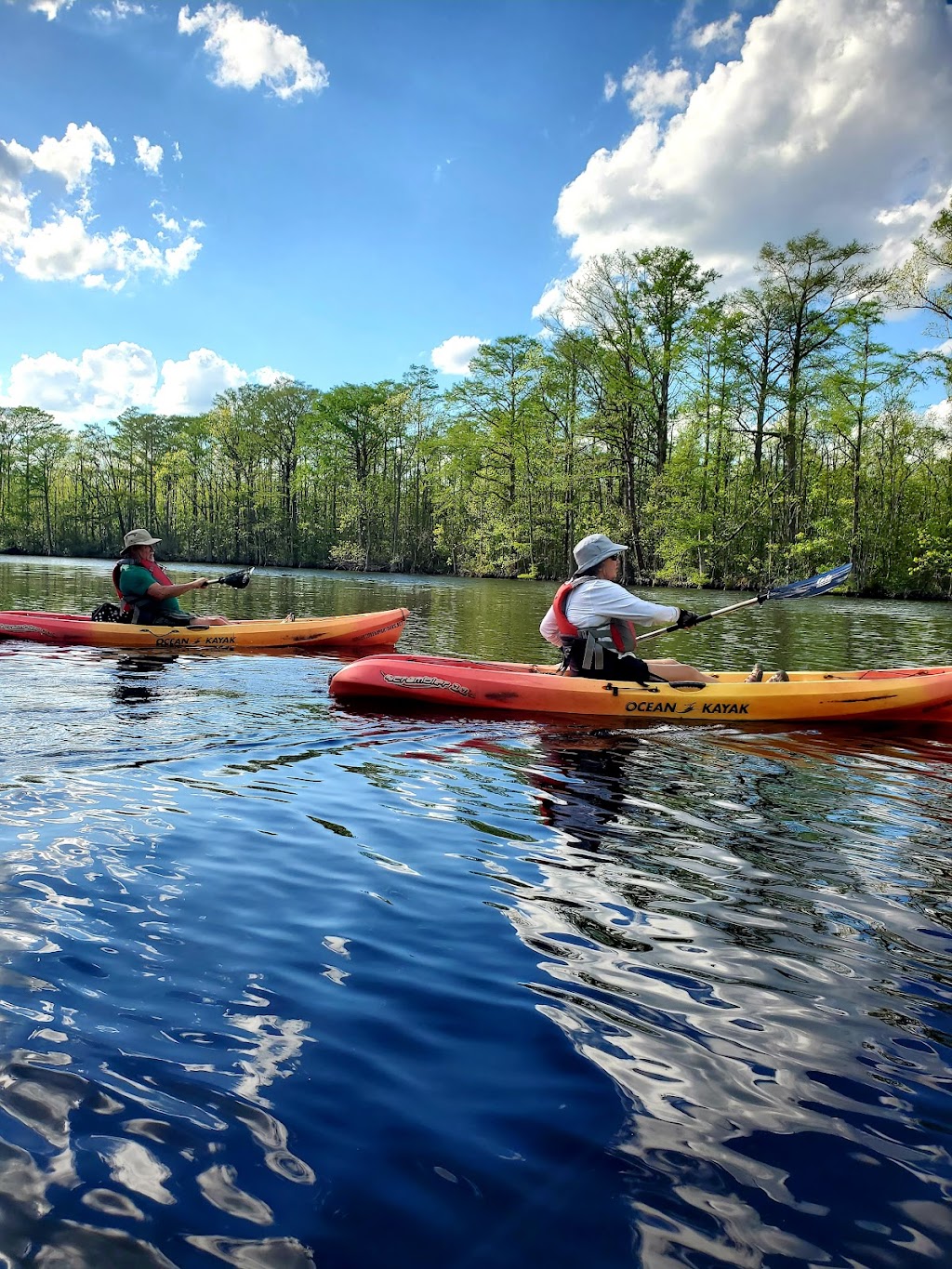 Adventure Kayak & SUP | 4243 S Battlefield Blvd, Chesapeake, VA 23322, USA | Phone: (757) 237-8776