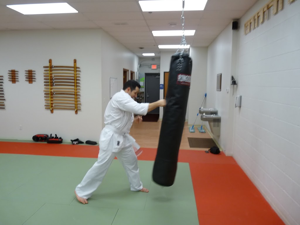 Great Lakes Kyokushin L.C. | 45021 W Pontiac Trail, Novi, MI 48377, USA | Phone: (586) 876-4309