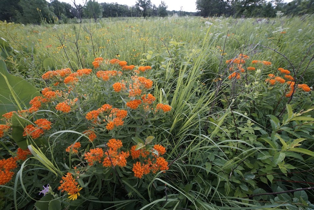 Somme Prairie Nature Preserve | 45R9+6P, Northbrook, IL 60062, USA | Phone: (800) 870-3666