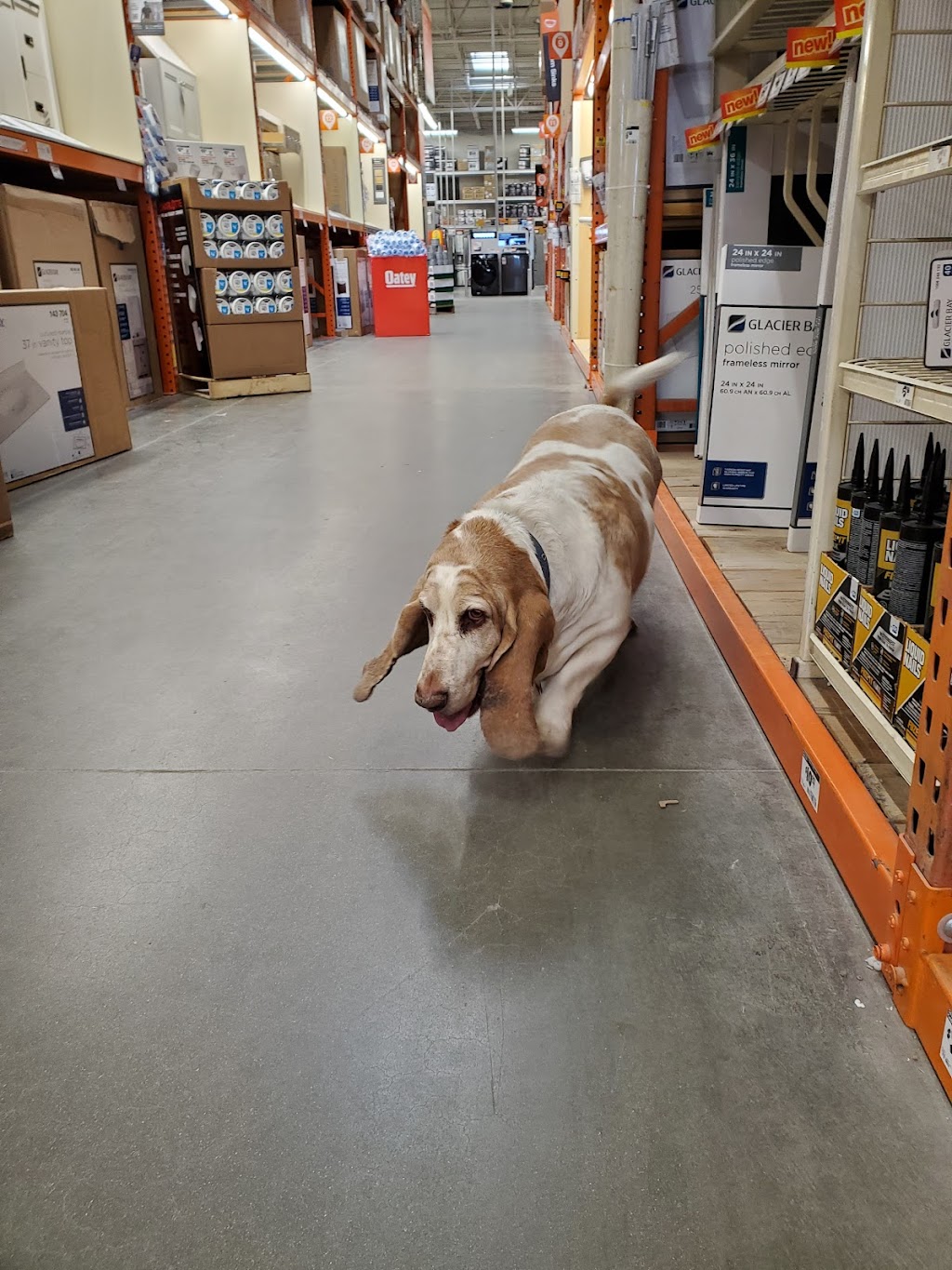 The Home Depot | 10003 Grant St, Denver, CO 80229, USA | Phone: (303) 255-8000