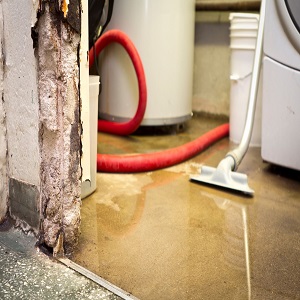 Sin City Water Damage Experts | 5100 Mandrake Ln, Las Vegas, NV 89130 | Phone: (702) 996-5310