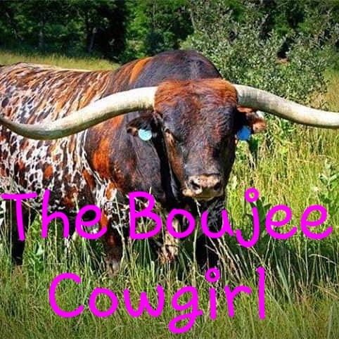 The Boujee Cowgirl | 5234 Teague Rd, Fort Worth, TX 76140, USA | Phone: (817) 308-1310