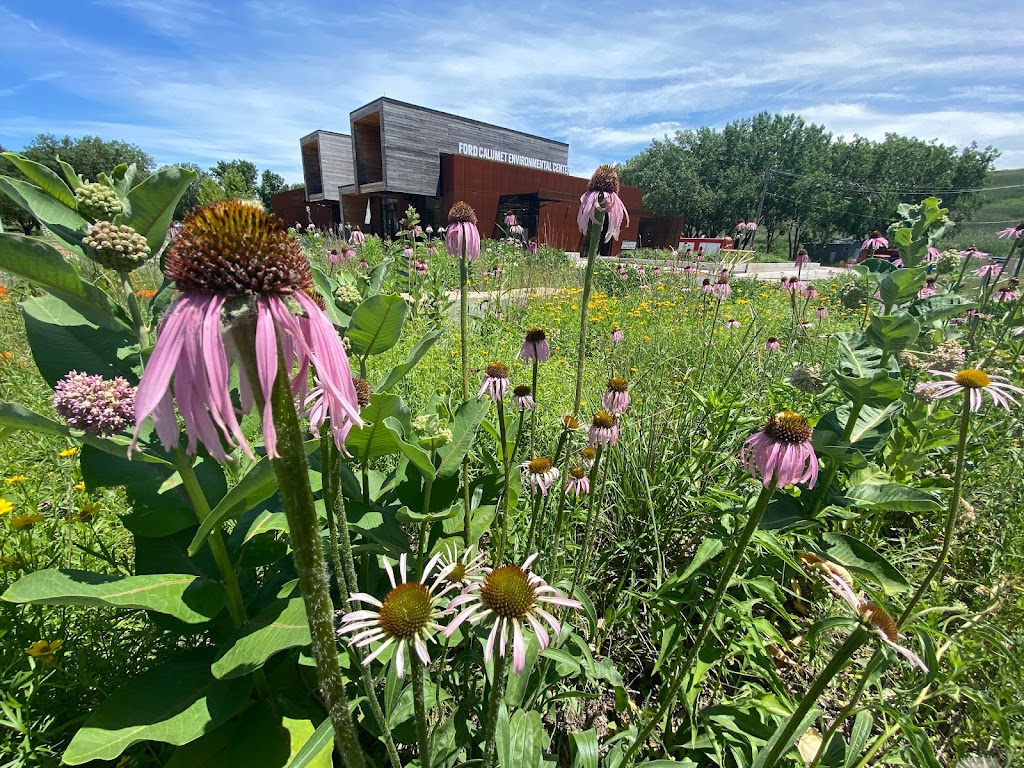 Ford Calumet Environmental Center | 11555 S Stony Is Ave, Chicago, IL 60633, USA | Phone: (312) 590-5993