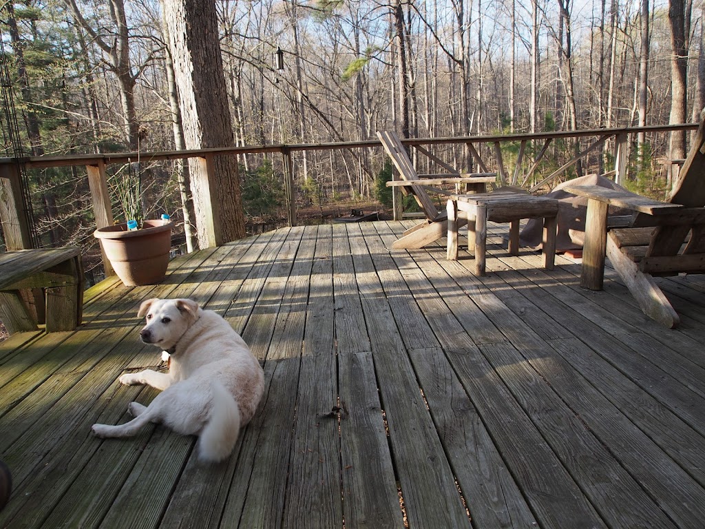 The Yurt at Frog Pond Farm | 2800 Austin Quarter Rd, Graham, NC 27253 | Phone: (336) 212-1588