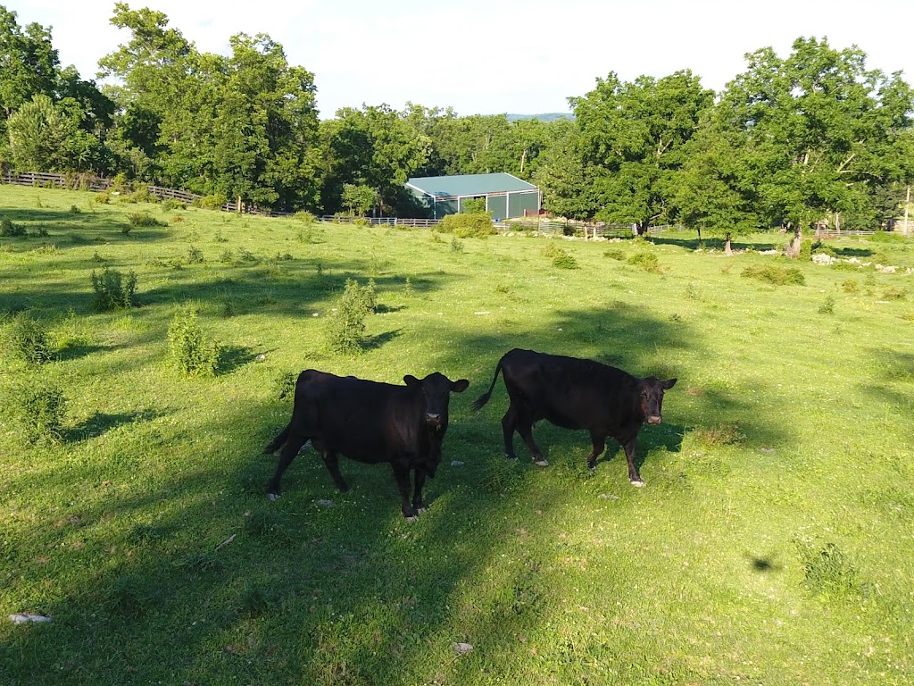 Hidden Hill Farm | 211 Onion Ave, New Hampton, NY 10958, USA | Phone: (845) 374-8094