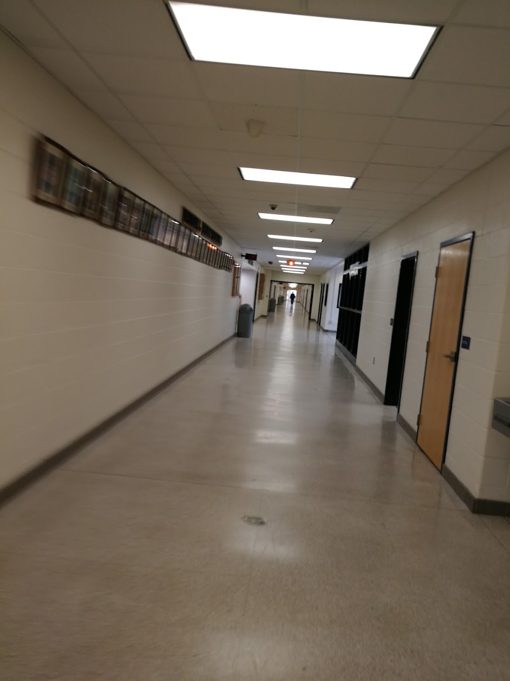 Western Branch High School | 1968 Bruin Pl, Chesapeake, VA 23321, USA | Phone: (757) 638-7900