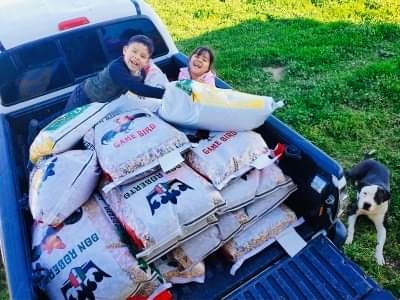 Bonita Animal feed & supplies | 13886 Rd 19, Madera, CA 93637, USA | Phone: (559) 832-9085