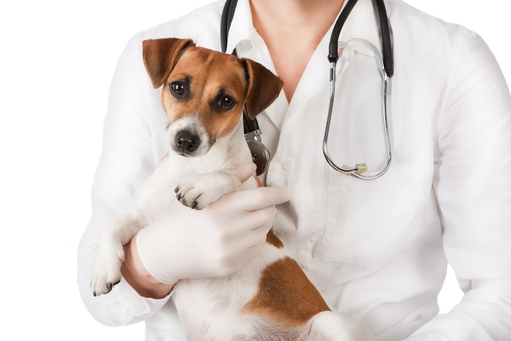 East Lake Veterinary Hospital | 10101 Northwest Hwy, Dallas, TX 75238, USA | Phone: (214) 342-3100