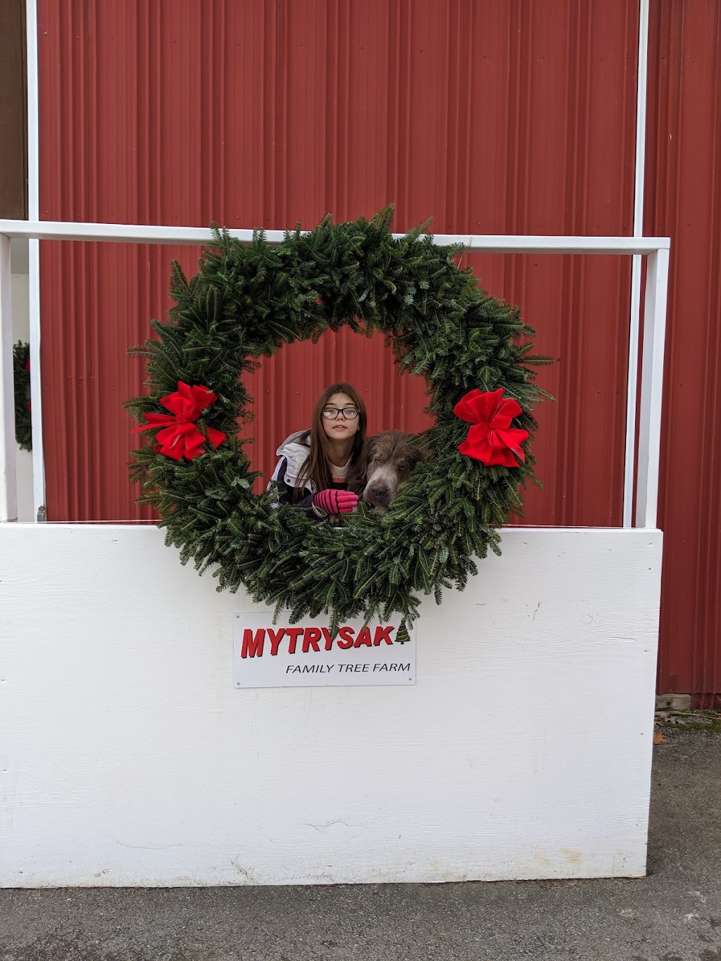 Mytrysak Family Tree Farm and Greenhouse | 1803 Fleming Rd, Indiana, PA 15701, USA | Phone: (724) 463-0570