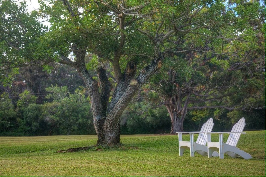 Sunset Ranch Hawaii | 59-777 Pupukea Rd, Haleiwa, HI 96712, USA | Phone: (808) 638-8333