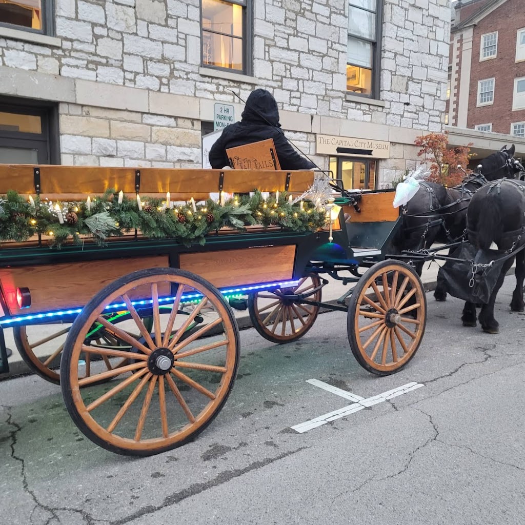 Tall Tails Carriage Rides | 11830 Jonesville Rd, Dry Ridge, KY 41035, USA | Phone: (859) 630-0011