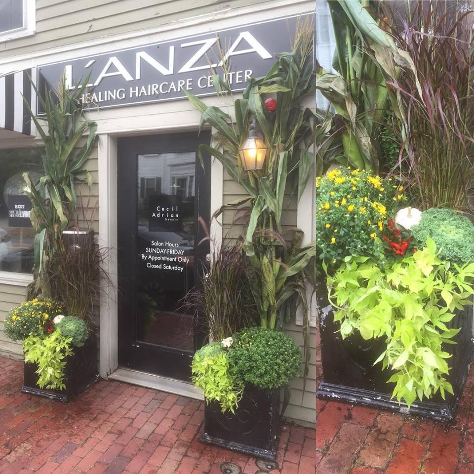 Cohasset Florist: Paul Douglas Floral Designs | 130 King St, Cohasset, MA 02025, USA | Phone: (781) 383-2700