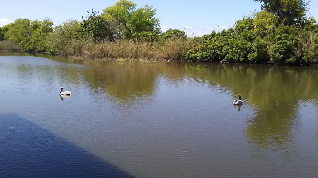 Louisiana Fishing Charters | 4258 Delacroix Hwy, St Bernard, LA 70085, USA | Phone: (504) 669-1263