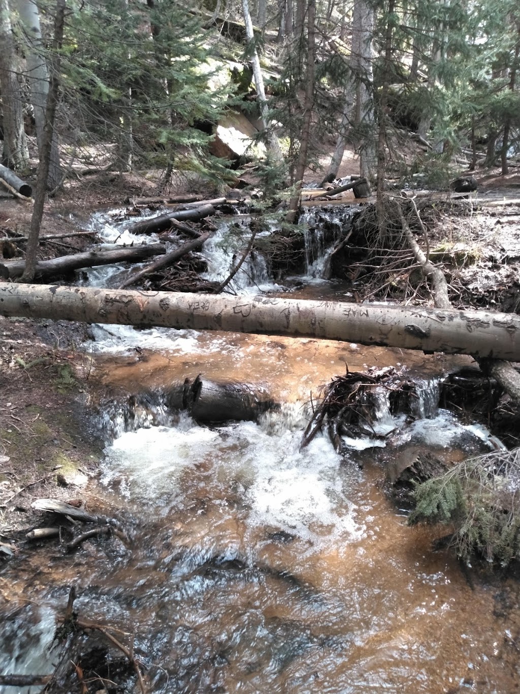 Castle Mountain Recreation Wellington Lake | 21843 Stoney Pass Rd, Bailey, CO 80421, USA | Phone: (303) 838-5496