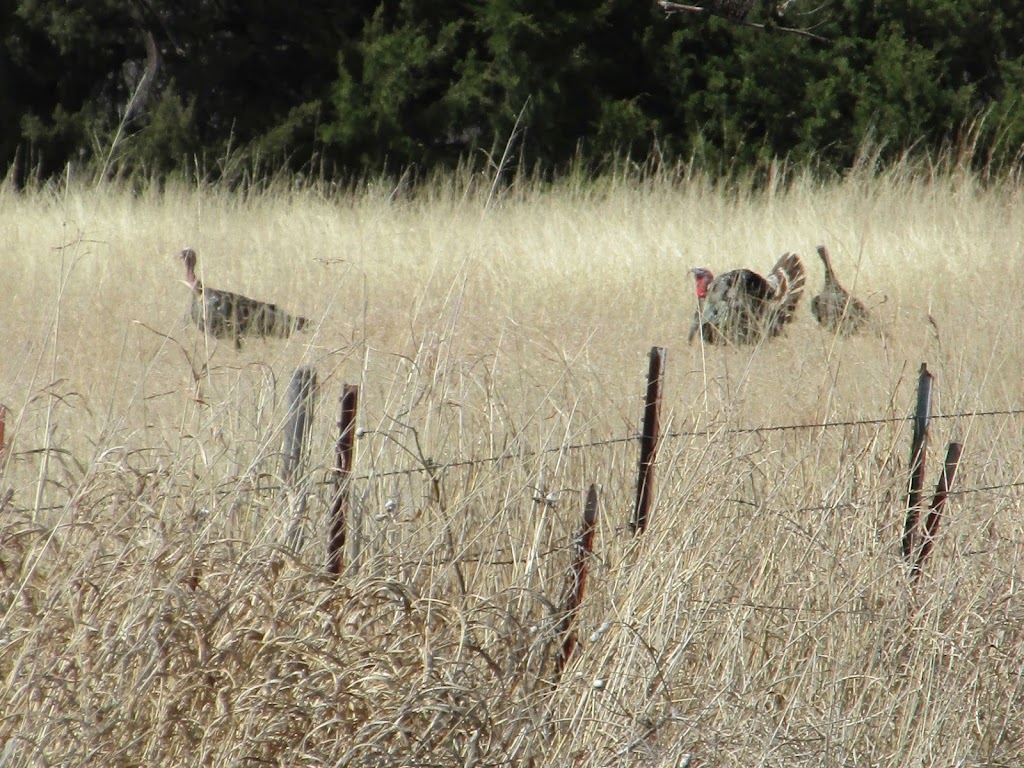 Yonderland Retreats | 1050 E County Rd 70, Mulhall, OK 73063, USA | Phone: (405) 649-2421