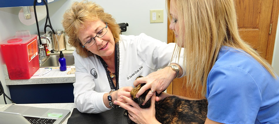 The Bluffs Pet Clinic | 2518 Old W Main St, Red Wing, MN 55066, USA | Phone: (651) 388-1103