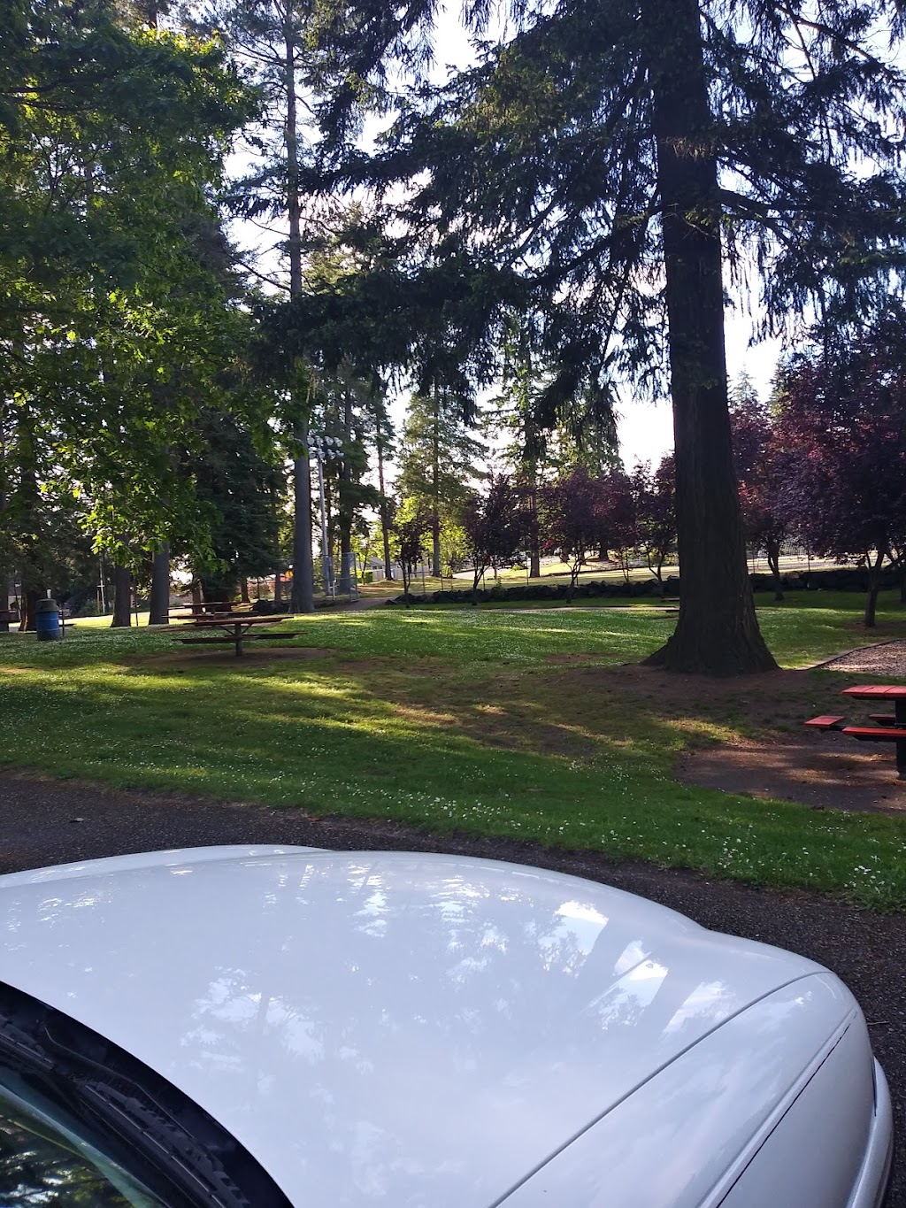 Evergreen Playfield | 22205 56th Ave W, Mountlake Terrace, WA 98043, USA | Phone: (425) 776-9173