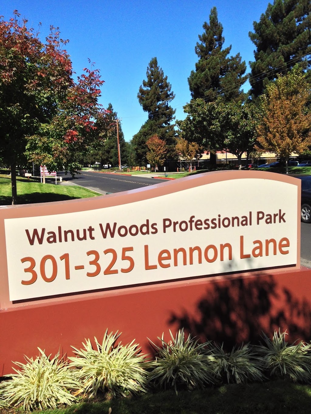 Back On Track Physical Therapy | 301 Lennon Ln #202, Walnut Creek, CA 94598, USA | Phone: (925) 934-6373