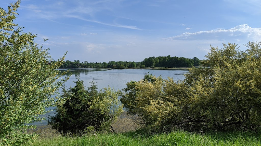 Watkins Lake State Park Parking Area | Brooklyn, MI 49230, USA | Phone: (517) 467-7401