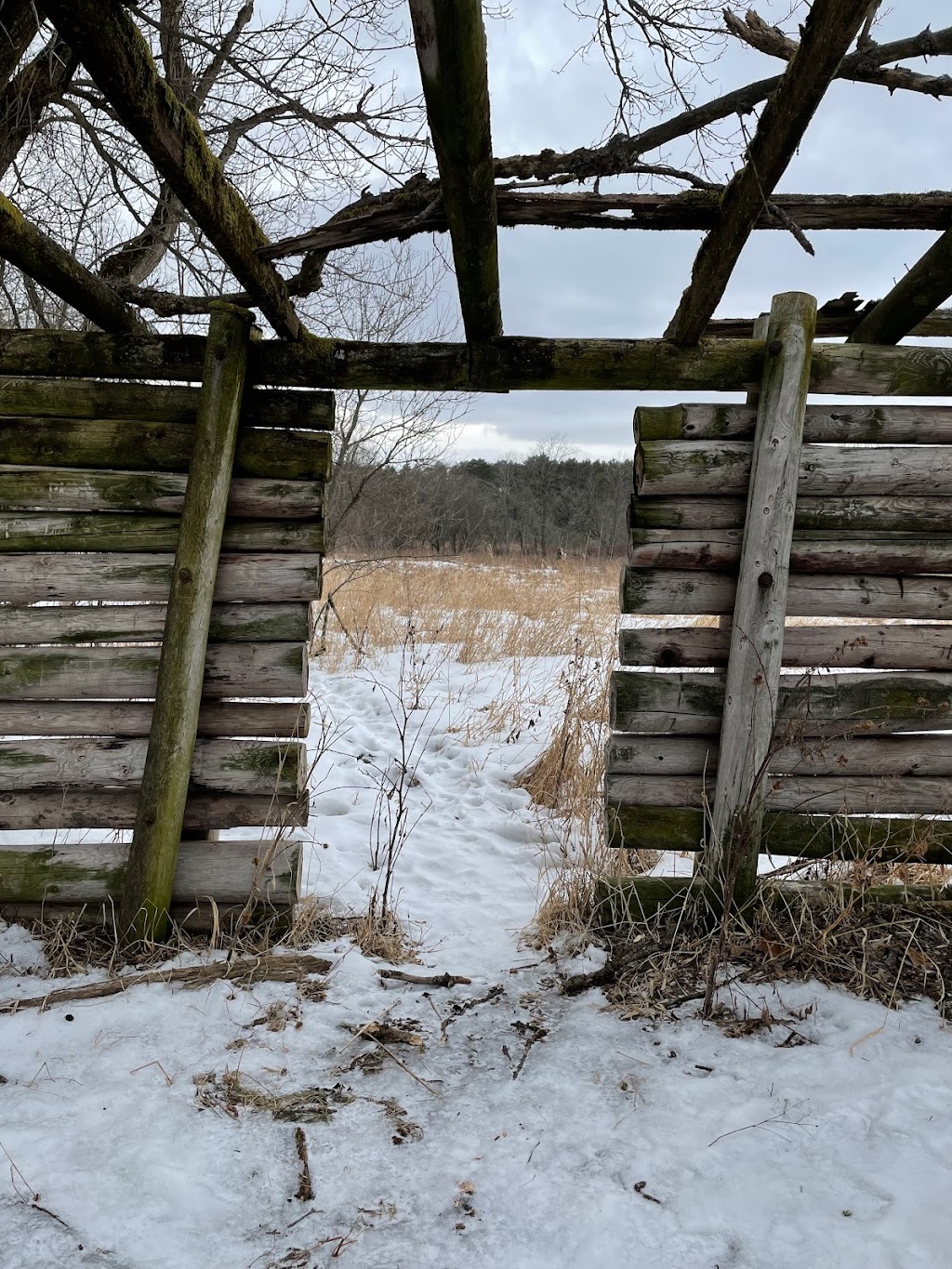 Kettle Moraine State Forest - Loew Lake Unit | Emerald Dr, Hartford, WI 53027, USA | Phone: (262) 670-3403