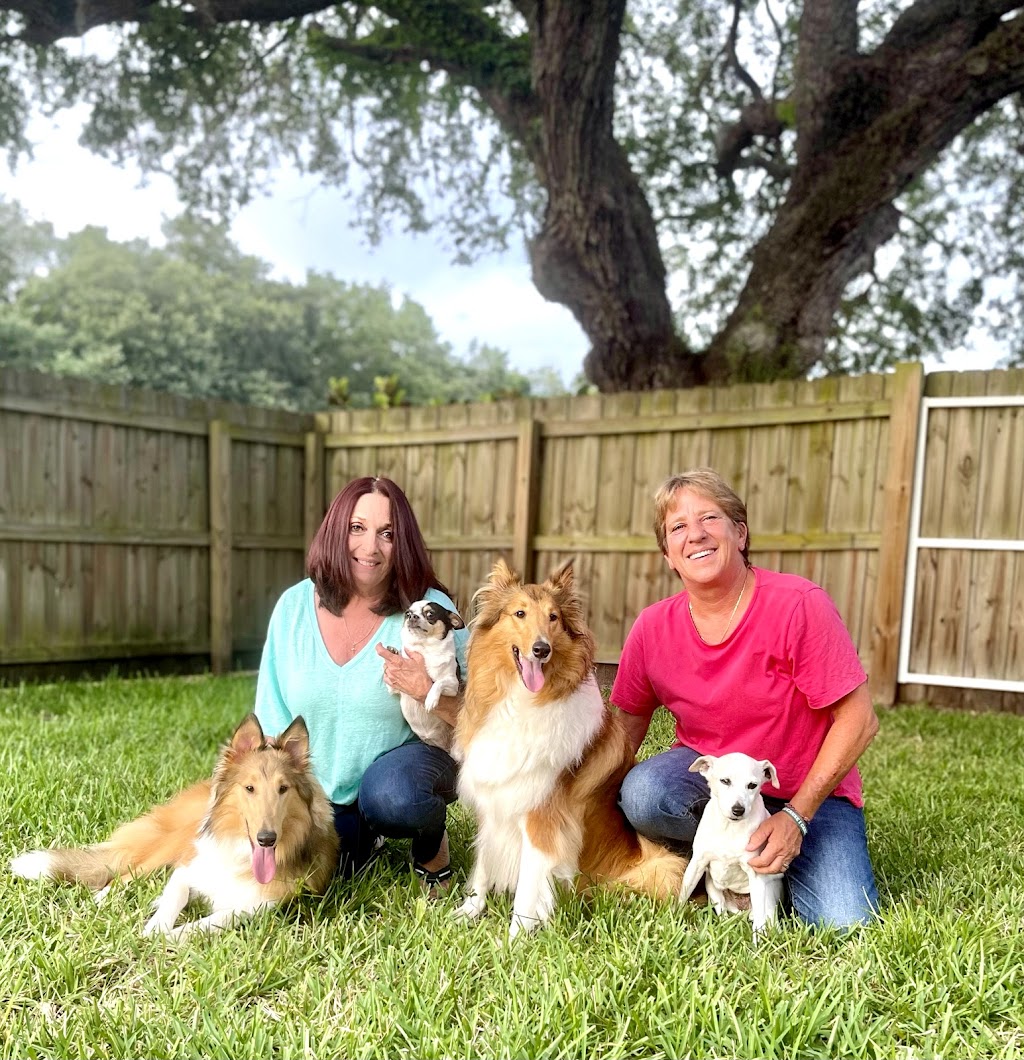 Pet Wants Bradenton | 5602 33rd Ln E, Bradenton, FL 34203, USA | Phone: (941) 920-9202