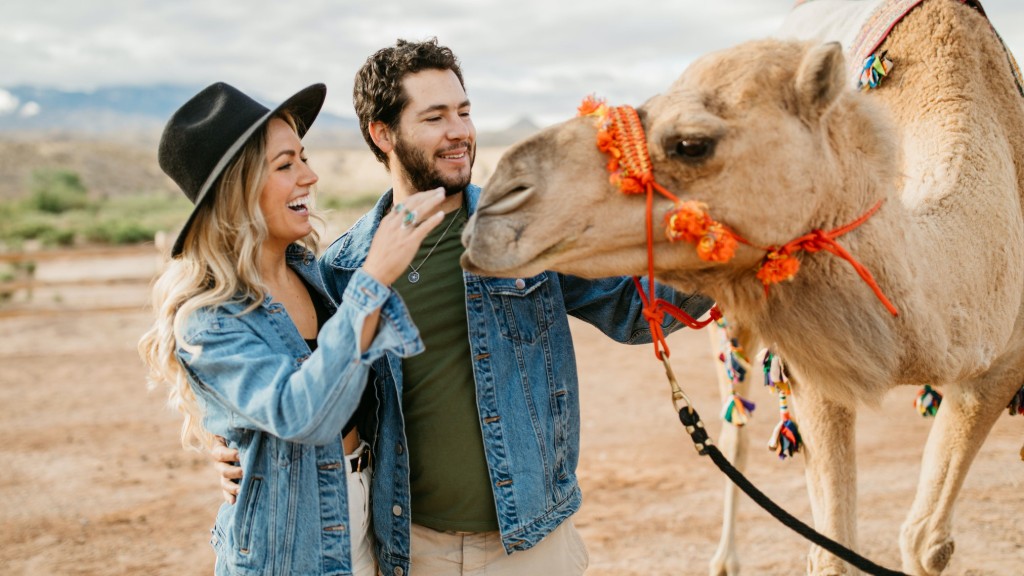 Camel Safari Las Vegas | 2725 River Cliff Rd, Bunkerville, NV 89007, USA | Phone: (800) 836-4036